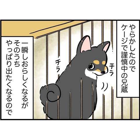 8A7F7B0D-1CF6-45D0-9C5E-3887DB25EF9D