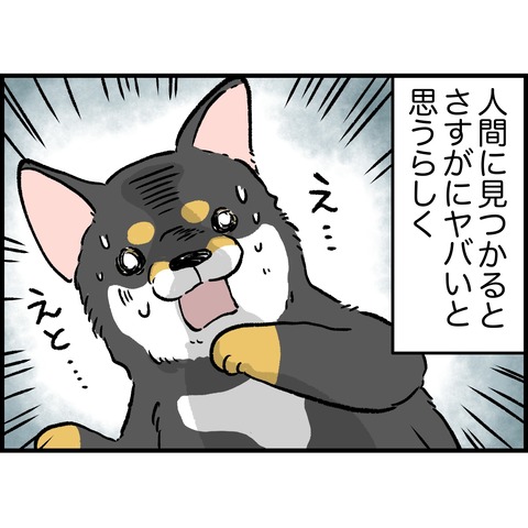 B8B7DBC9-0840-4E2B-97FE-D28FCC3A6052