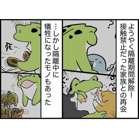 F0C05E91-CB8A-494F-BDC0-1F923DCD1FE2