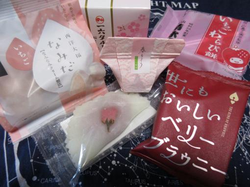 桜の大量発生 インドア博士の外出記念日