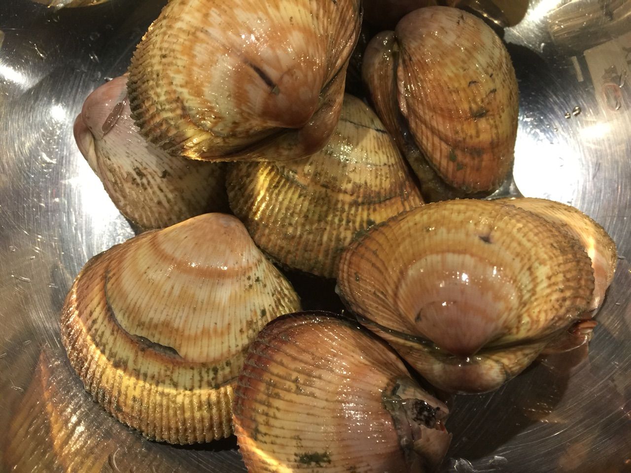 殻付きトリ貝 ڡ 寿司 結のblog 殻付きトリ貝 ڡ 寿司 結のblog