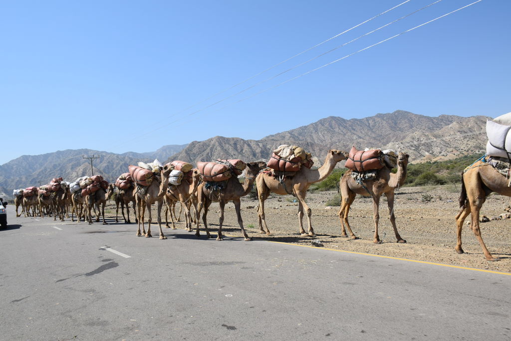 エチオピアで世界一過酷なマグマツアー メケレからダナキル砂漠 ダロール Yuma S Adventure