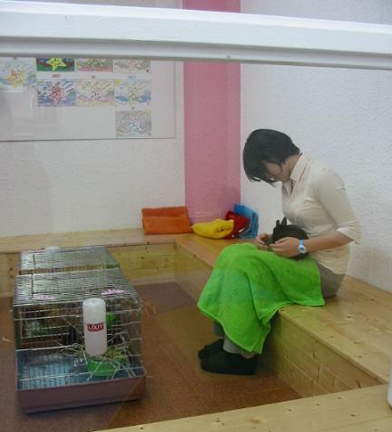 3b1d8400.jpg