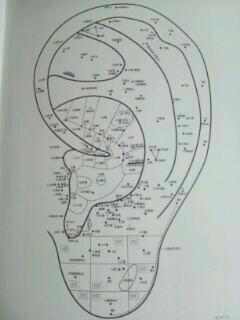 パワーピアス 耳つぼについて ごきげん 夢ブログ
