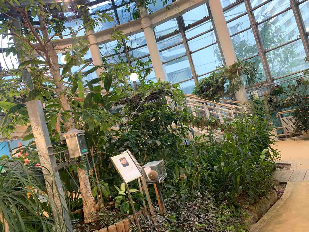 渋谷区ふれあい植物センター Nich Jow