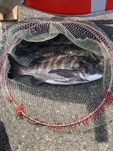 In-KsXb52WTgnlpUR81shdWqAhVe4CFLArZl_uQSYls