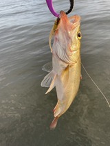 IMG_4080