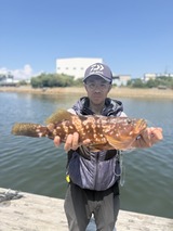 IMG_1137