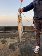 IMG_1416