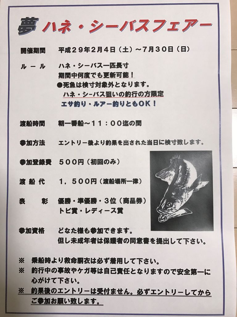 夢ハネ シーバス釣りフェアー 堺出島漁港 夢フィッシング お知らせ 釣果情報