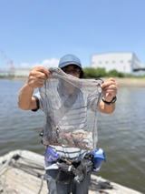 IMG_0486