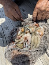 IMG_0433