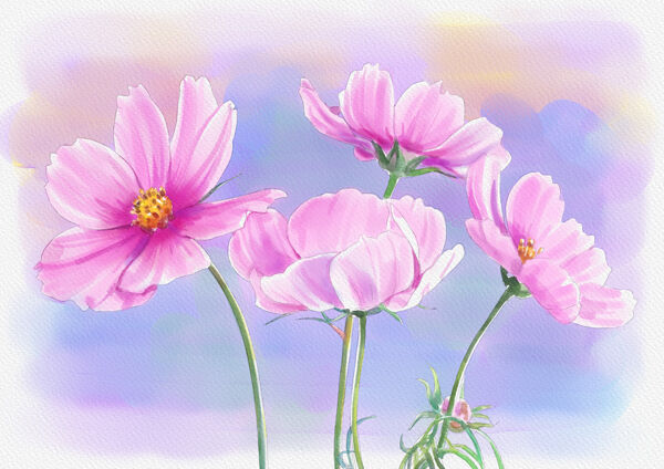 Rebelle3 その２ 夢ブログ