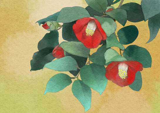 日本画タッチの椿の絵 完成♪ : 夢ブログ