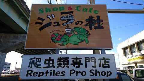 東北初出店 D ふれあい編 おひとり様のアクティブlife 東北初出店 D ふれあい編 おひとり様のアクティブlife