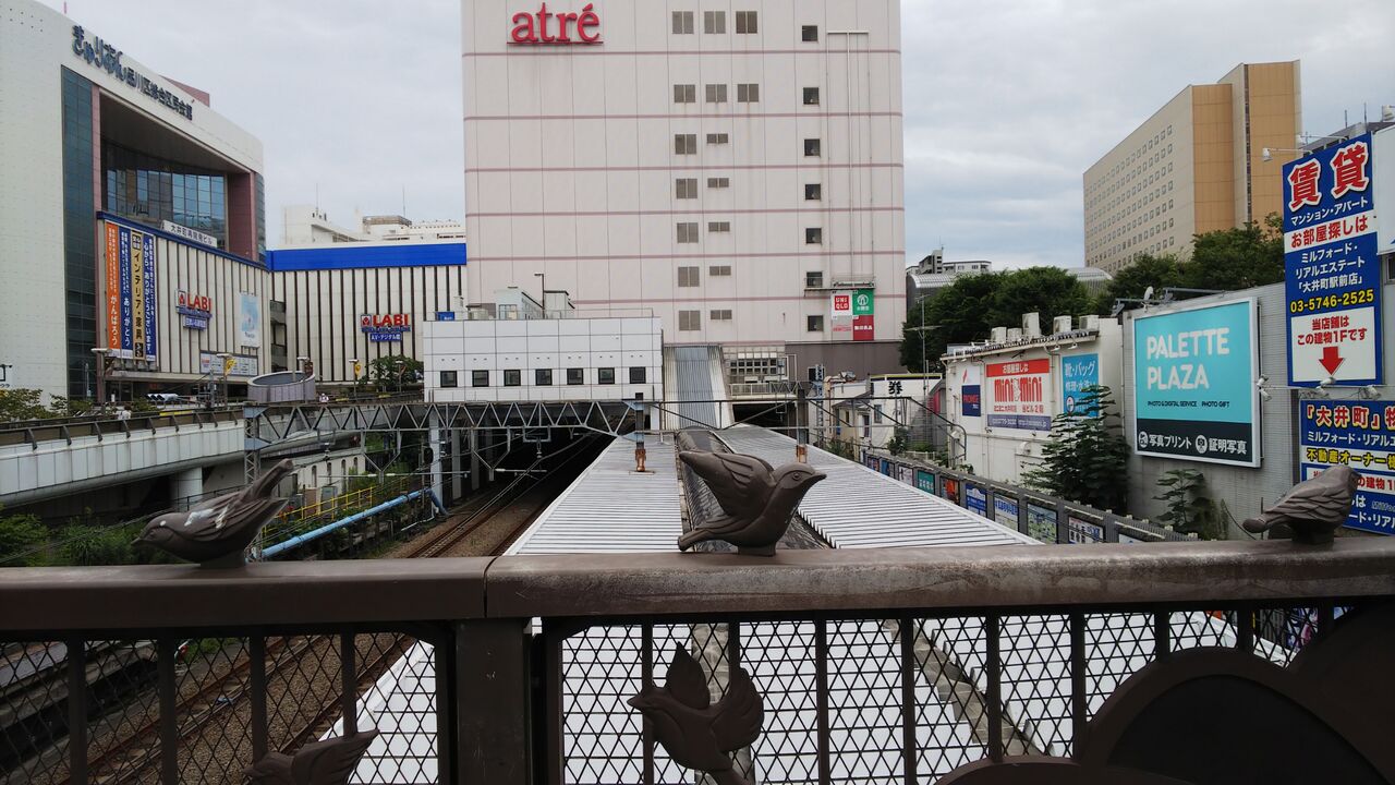 梅雨明けを待つ応援する会 龍雛札記 千葉山貴公 たけのこブログ 梅雨明けを待つ応援する会 龍雛札記 千葉山貴公 たけのこブログ