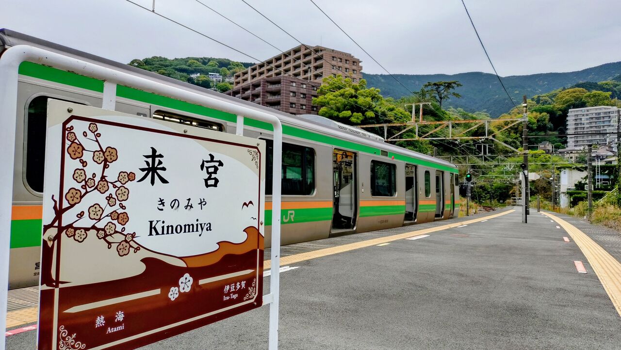 ロッテみどりの森のどんぐりこ懸賞オマケ付き