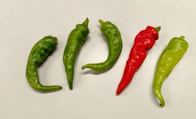 20251114_175347945~2