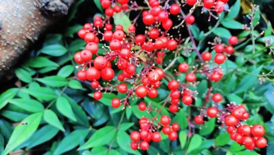 20251113_143207902~2