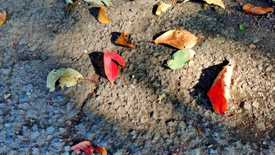 20251107_092337137~2