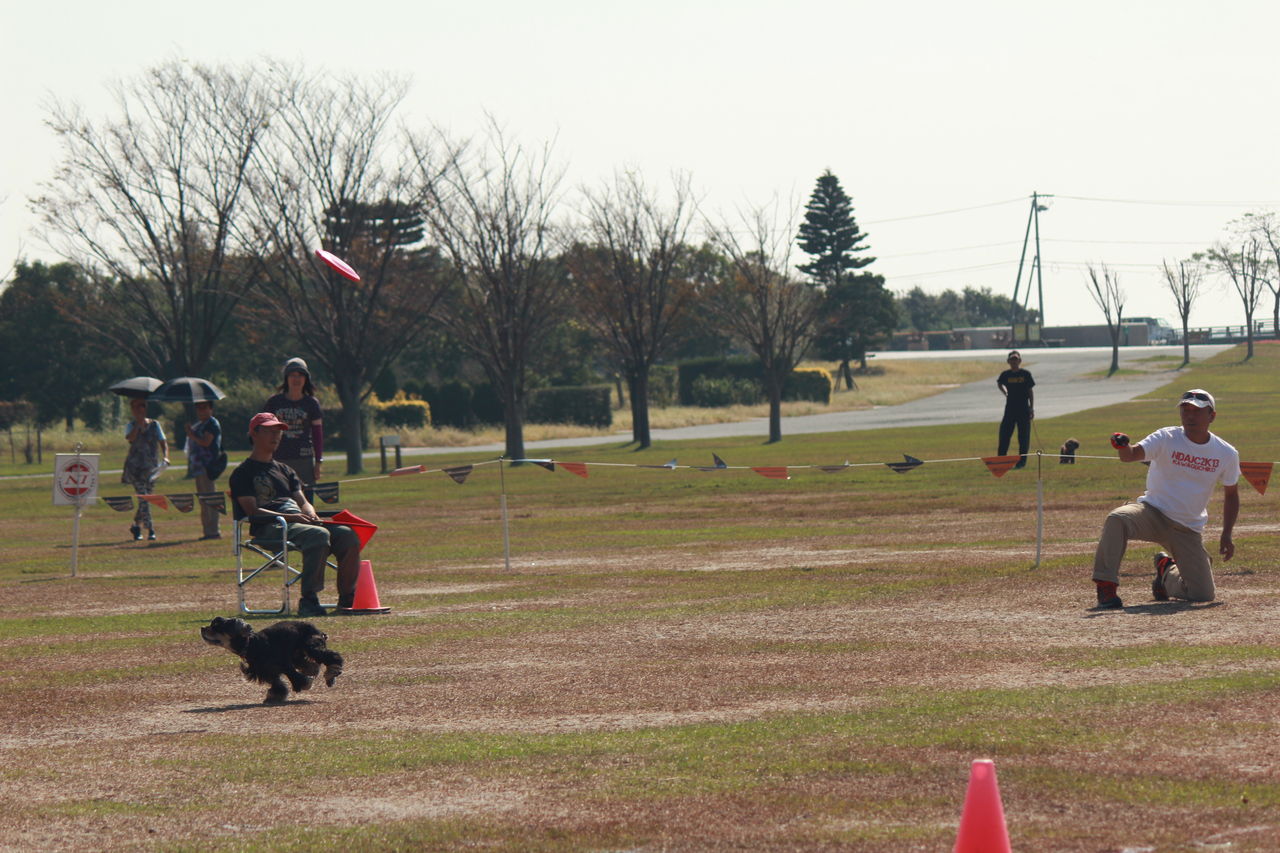 フリスビー犬 In 浜名湖ガーデンパーク 三善翔順ブログ