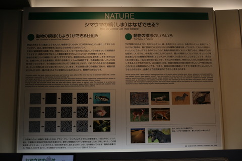 170515b7.jpg