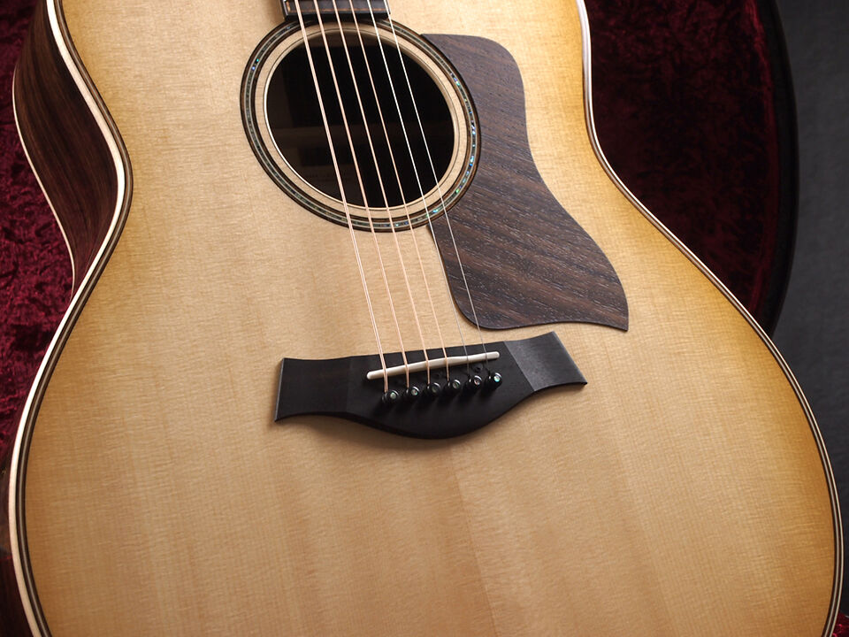 Taylor 818e V-Classを購入しました！！ : みよしブログ