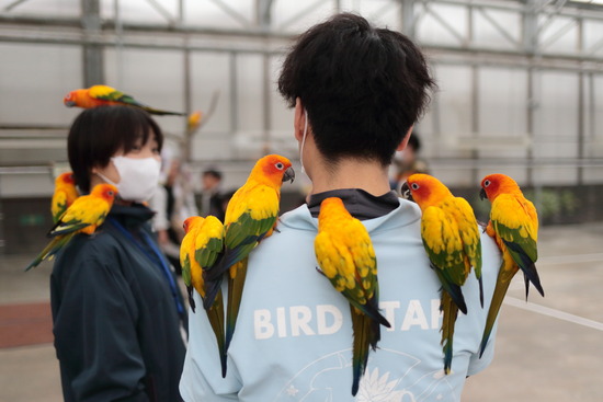 掛川花鳥園に行ってきました！！ : みよしブログ
