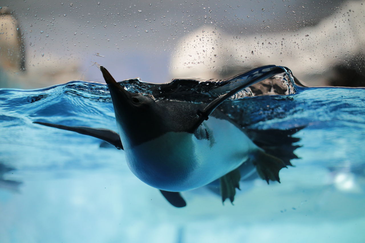 名古屋港水族館に行ってきました みよしブログ