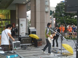 4599511a.jpg