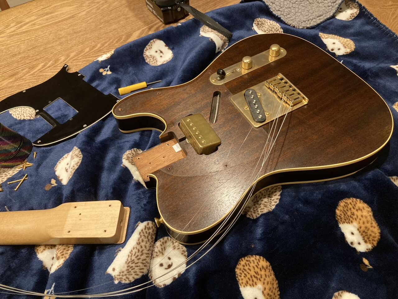 Bacchus Telecaster BTE-120HBROIL（P90搭載）メモ : みよしブログ