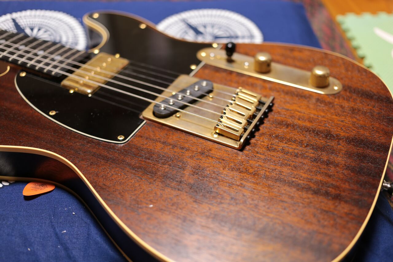 Bacchus Telecaster BTE-120HBROIL（P90搭載）メモ : みよしブログ