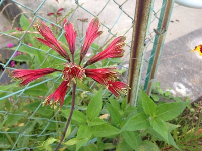 e5a05a30.jpg