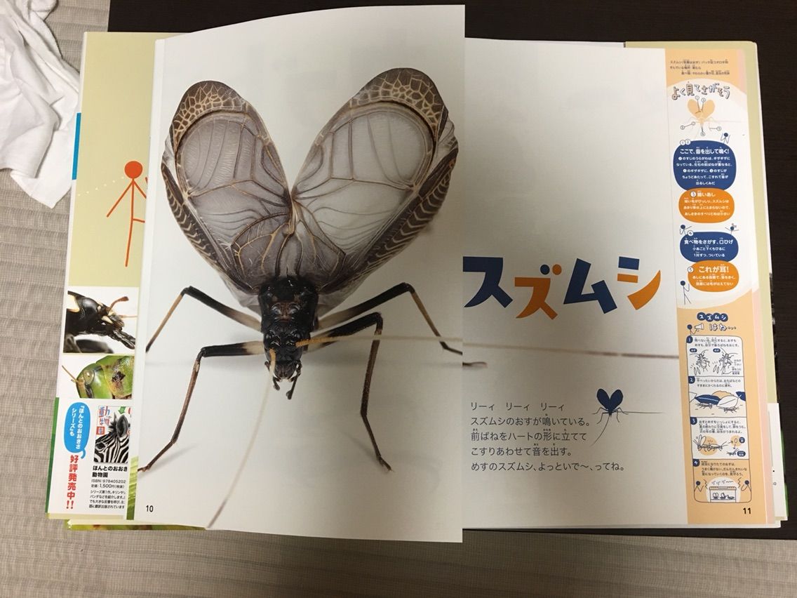 びっくり ジャンボ昆虫園 : 絵本とボードゲームのゆめいろ日記