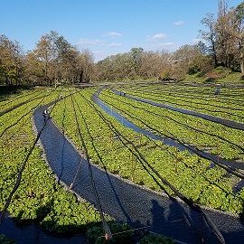 20161112_134438