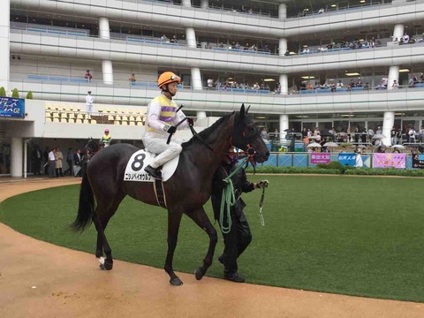 My注目馬一覧 2017年生まれ2歳 564頭 明日は明日の馬が勝つ 馬券公開ブログ My注目馬一覧 2017年生まれ2歳 564頭 明日は明日の馬が勝つ 馬券公開ブログ