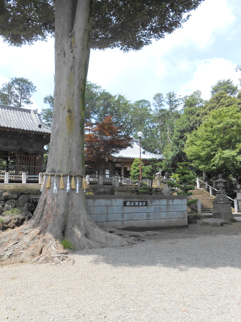 瀧宮神社　深谷