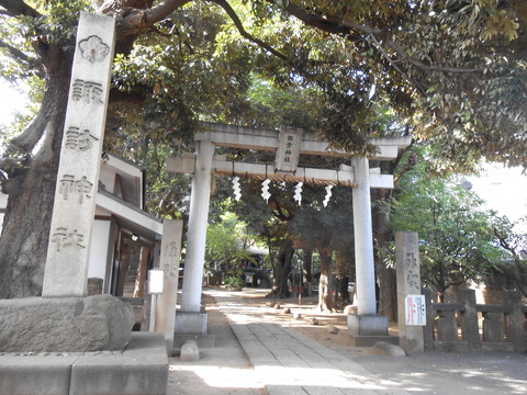 諏訪神社　日暮里