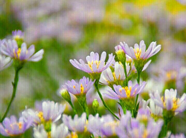 流石にそれは駄目だろう 人は遊びながら