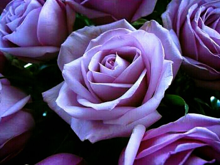 スペシャルな世代の中で 人は遊びながら