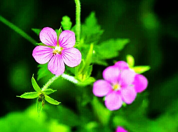 いいからｓｎｓを閉じなさい 人は遊びながら