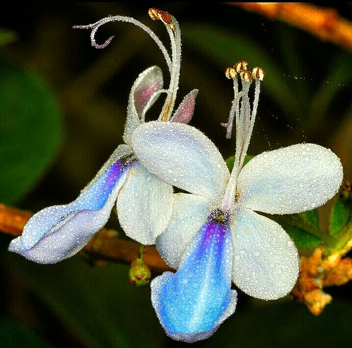 ずさんすぎるよ 人は遊びながら