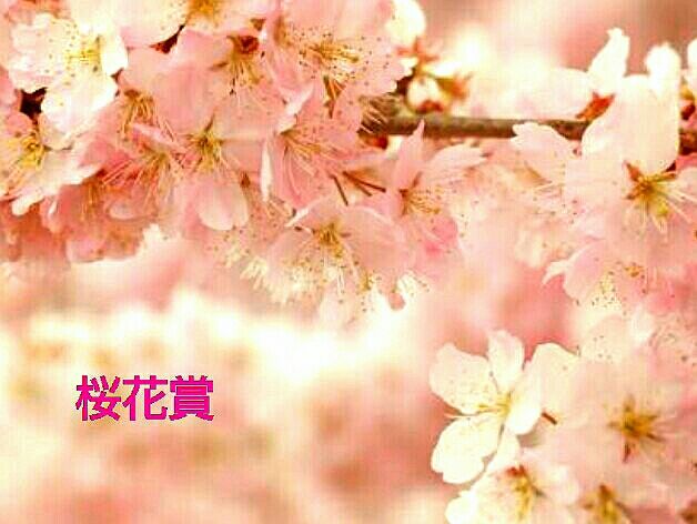 亡き父に手向けの花を 人は遊びながら