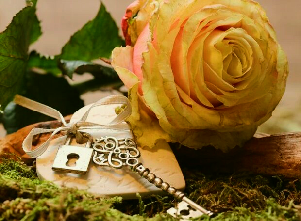 遅咲きの花が咲くとき 人は遊びながら