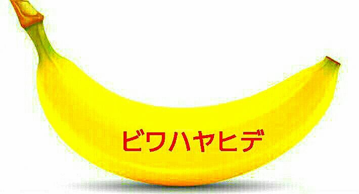 人は遊びながら……2017年06月24日梅雨空にジャンプ愛されるから強いのかいよいよ登場だ！平成生まれの大暴れ