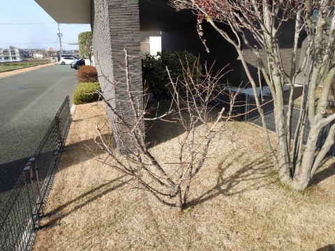 DSCN6904 (640x480)