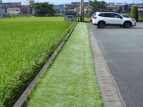 DSCN3475