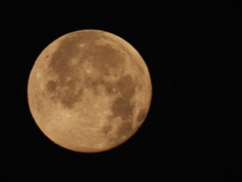 DSCN0754