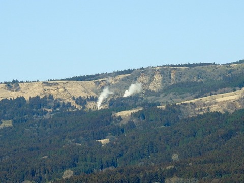 DSCN3874 (640x480)