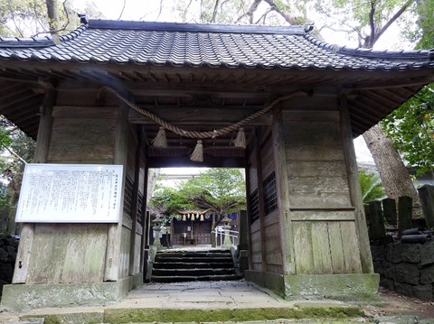 DSCN4137 (640x479)